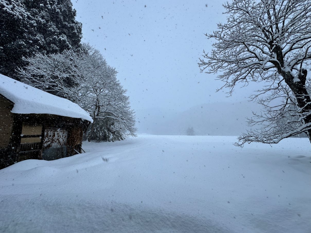 雪が降るし寒い（1/17）