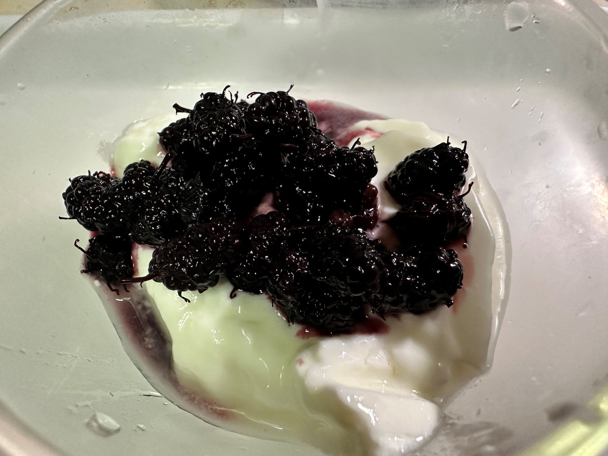 クワジャム（1/19）