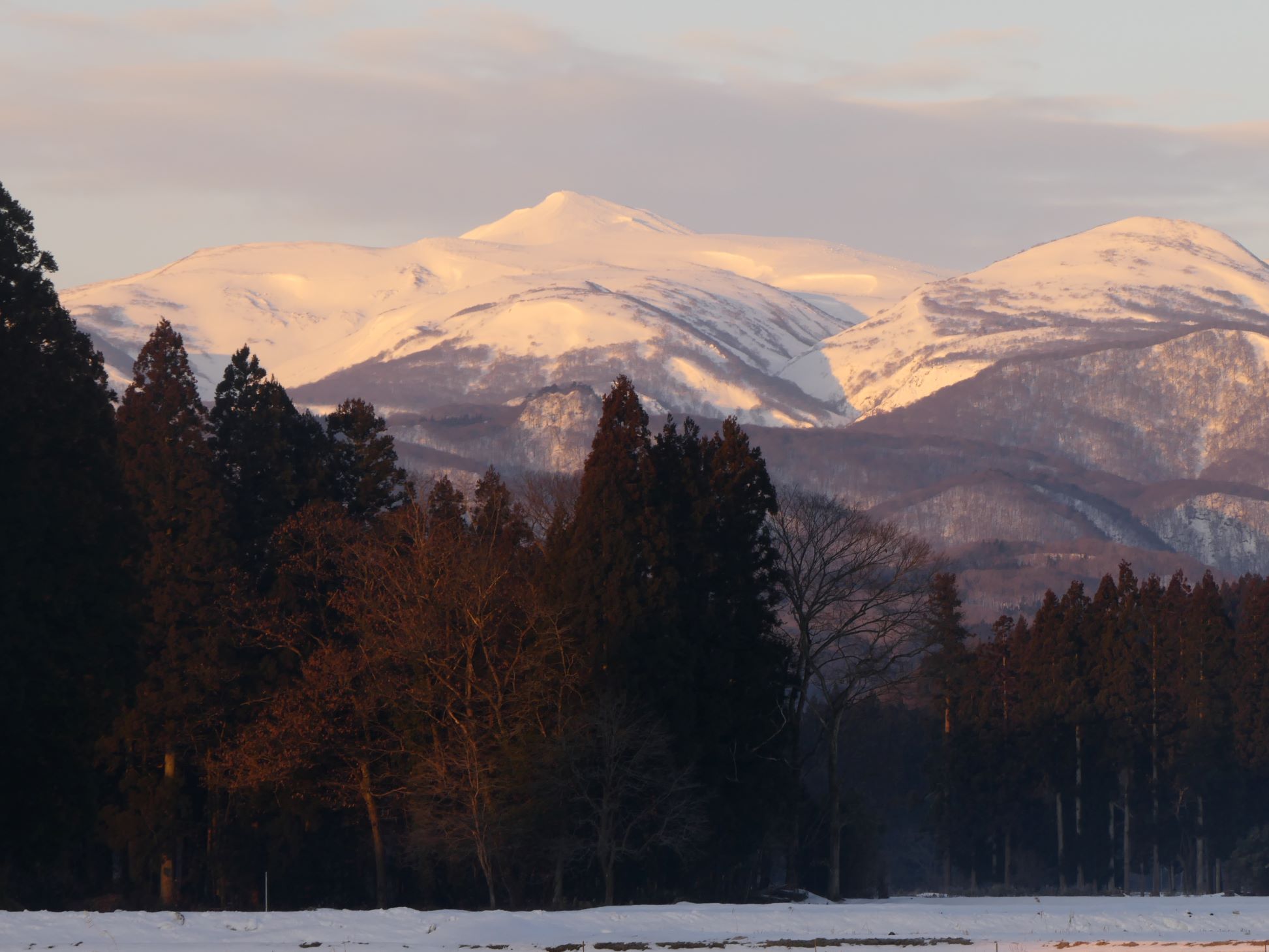 朝の栗駒山（1/23）