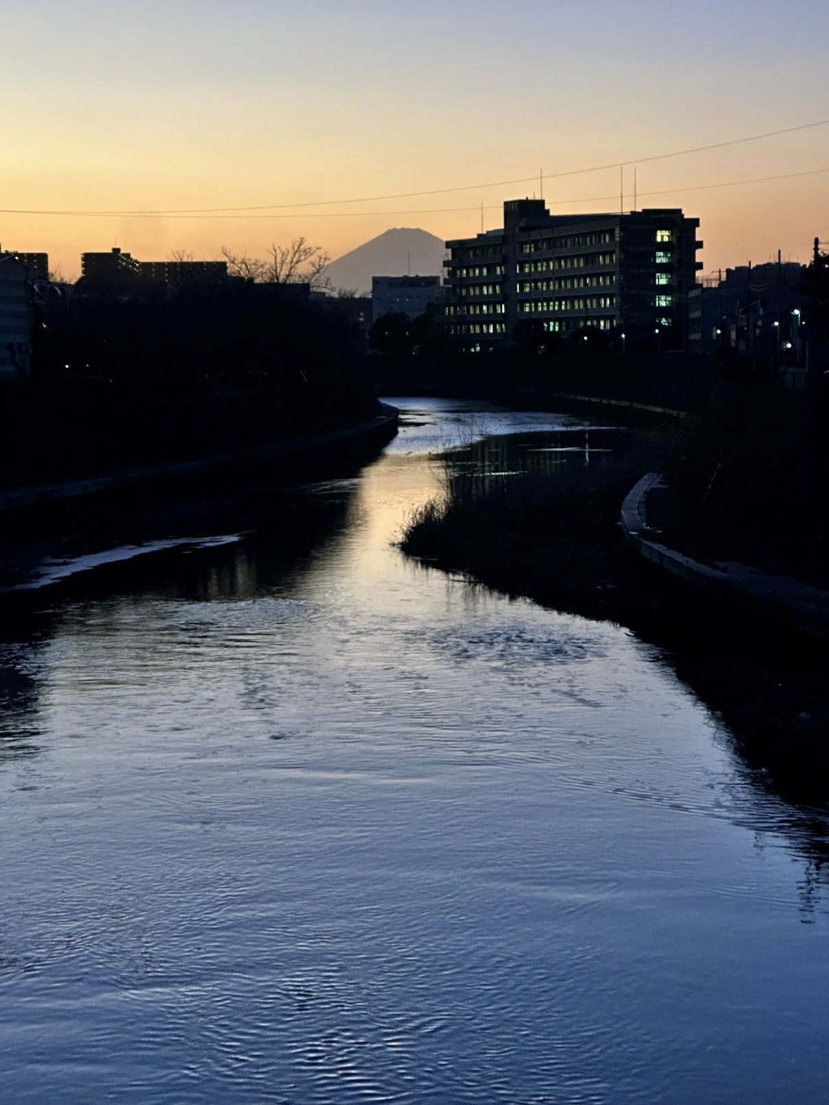 歩きすぎか（2/13）