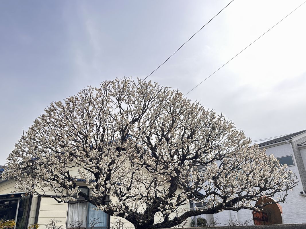 今日も体力浪費（2/16）
