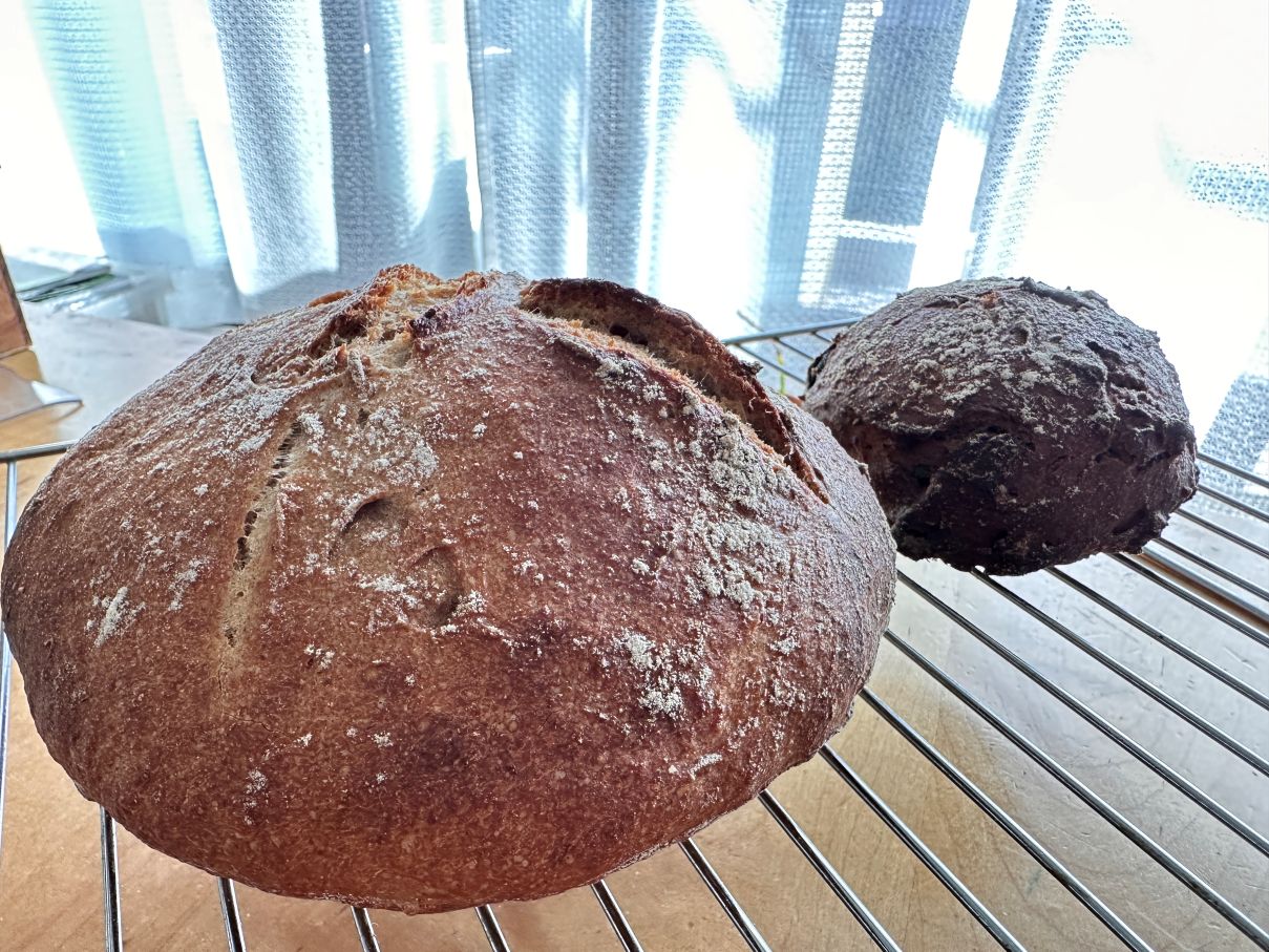 Pain au levain（2/24）