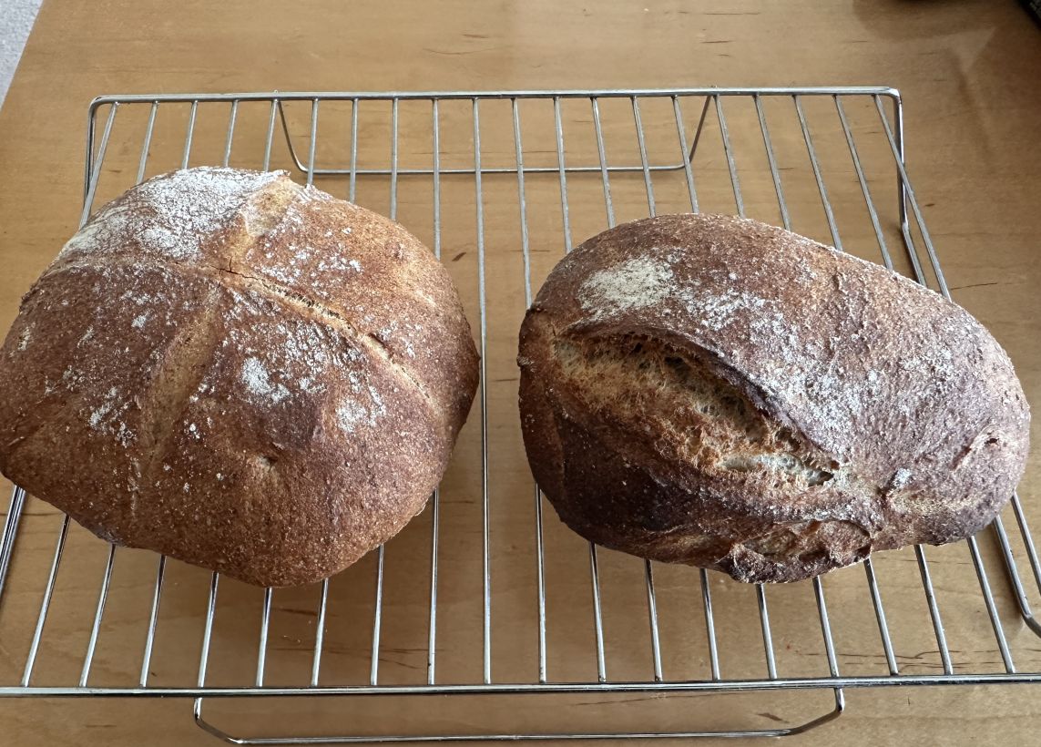 Pain au levain No.2(2/28)