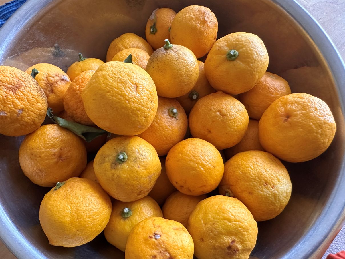 柚子ジャム（3/1）