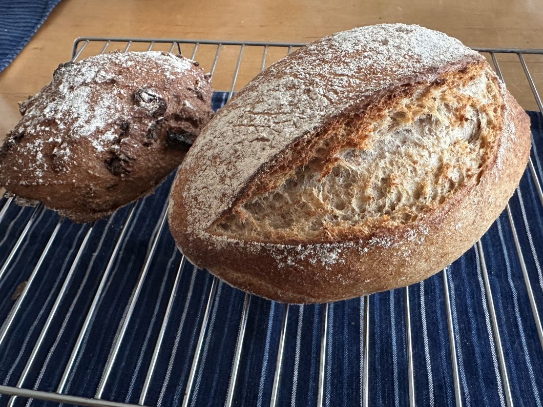 今日もパン（3/4）