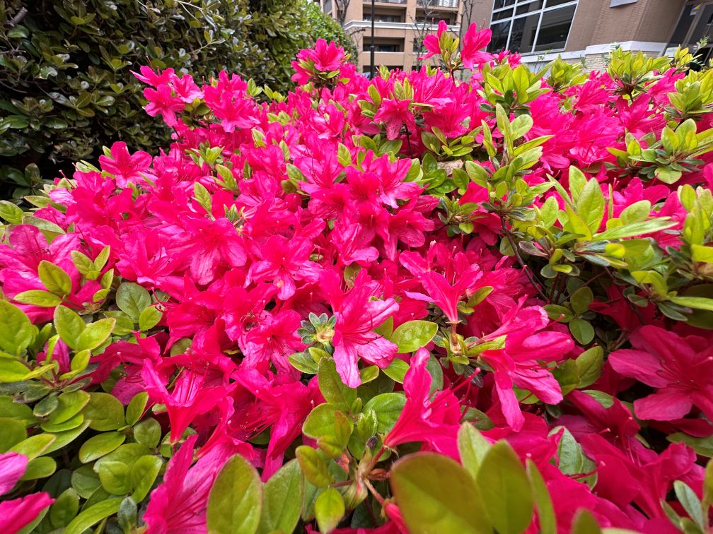 季節は変わる（4/13）