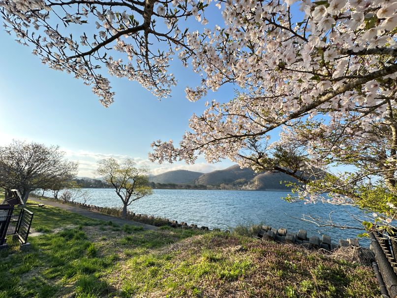 猪苗代湖の春（4/26）