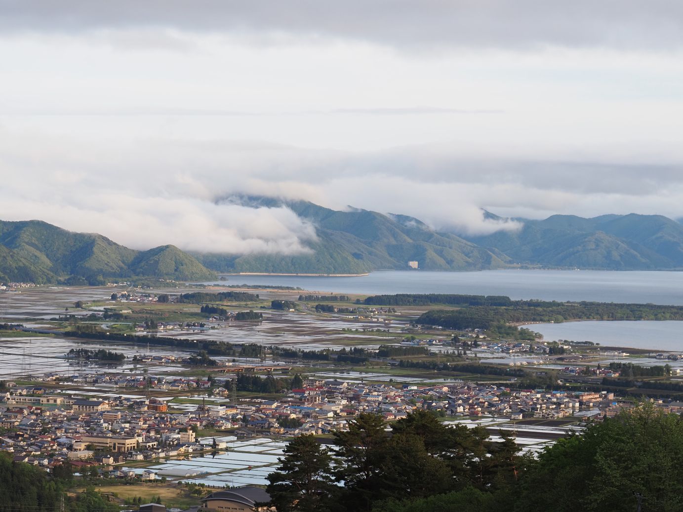 遠景＆植物（5/17）
