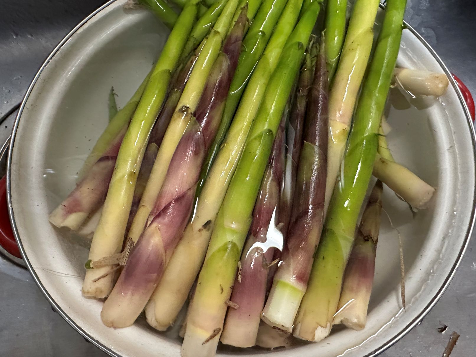 タケノコにワラビ（6/2）