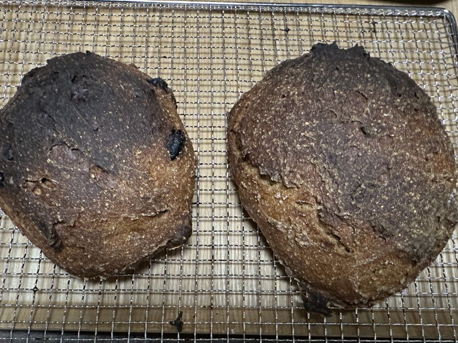 焦げたライ麦パン（6/8）