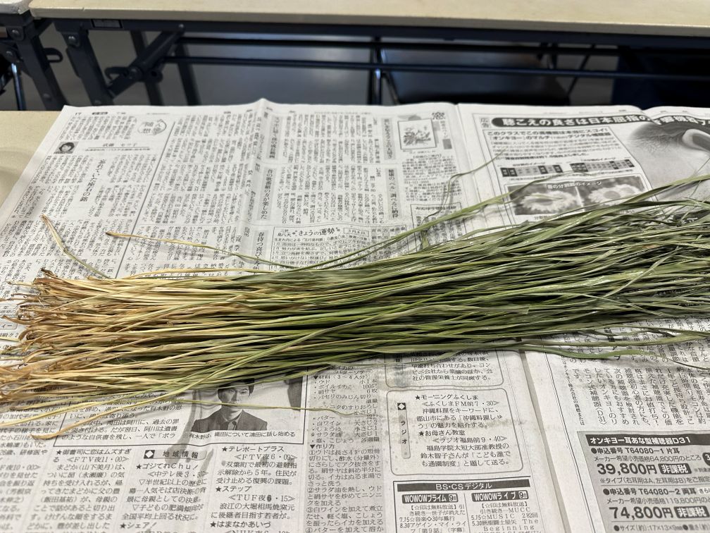 ヒロロ細工に挑戦（6/21）