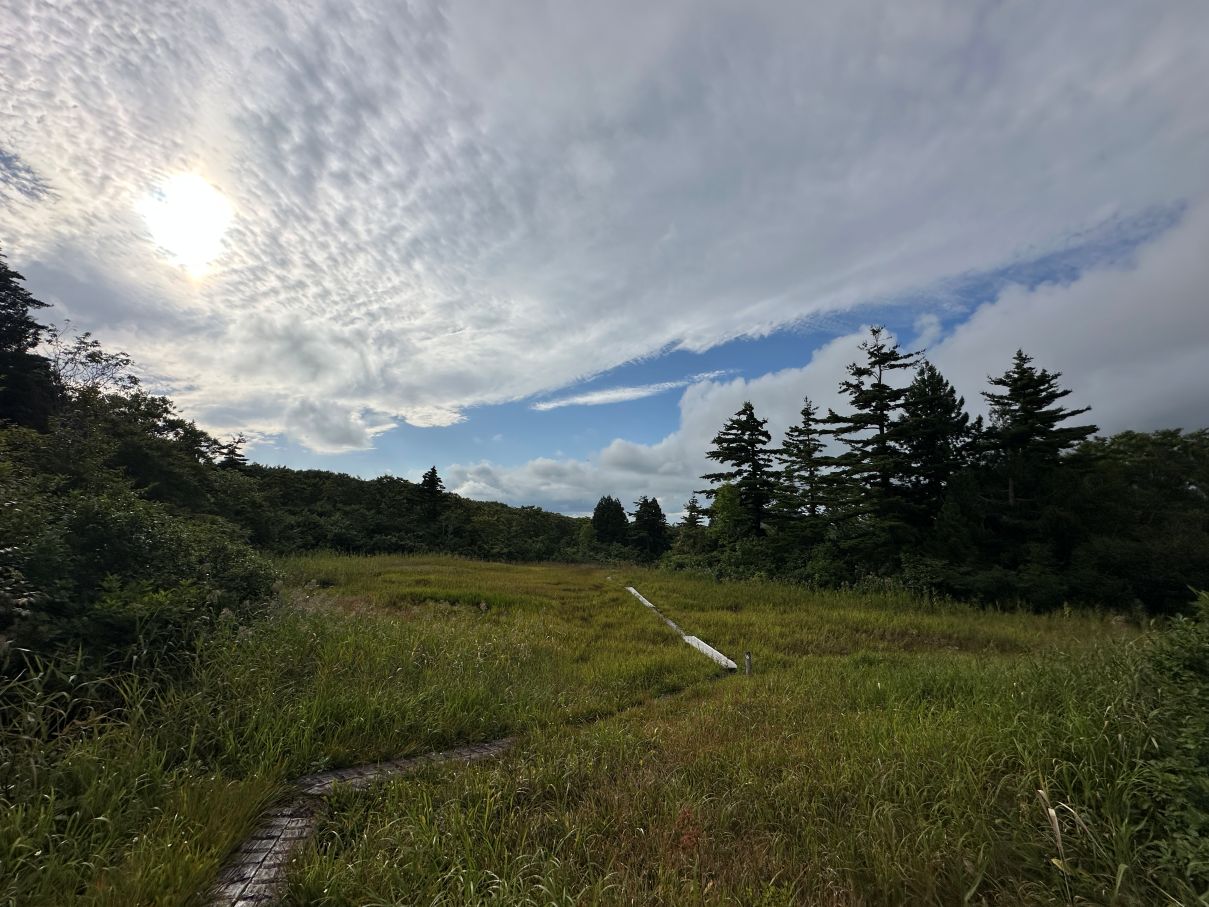 久しぶりの野鳥の森