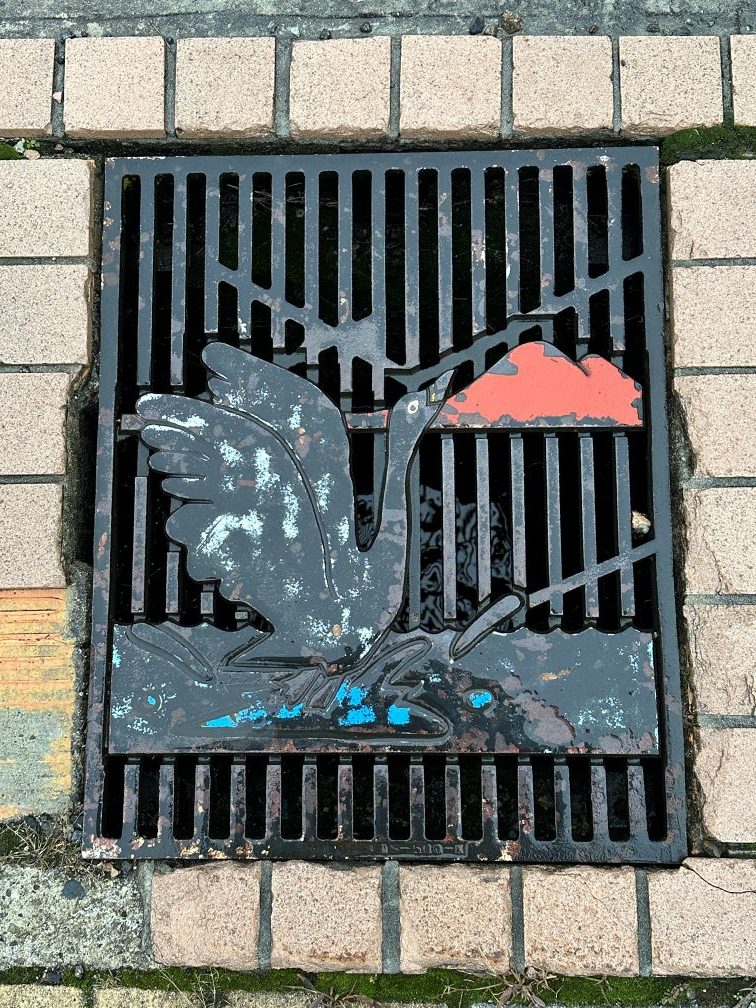 たまにコクチョウがいる