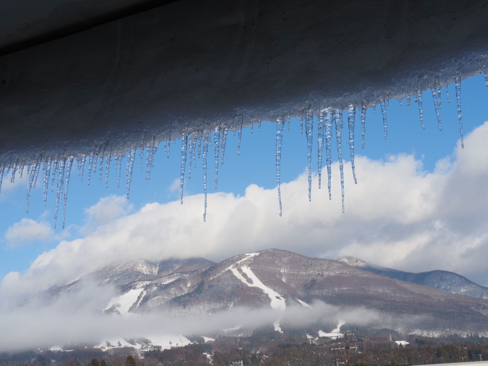 再び雪・これからは雪（12/7）