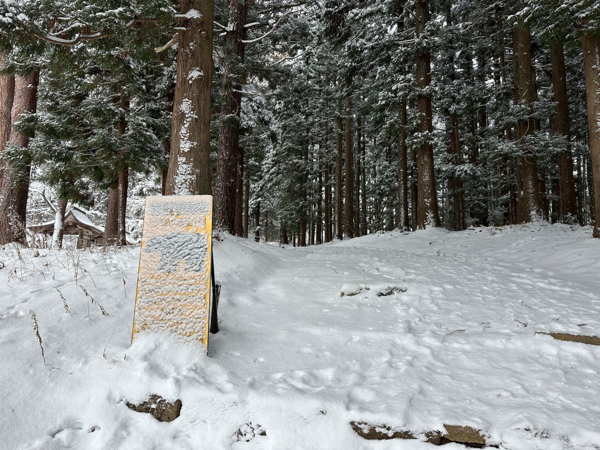 クマは寝たのか？（1/3）