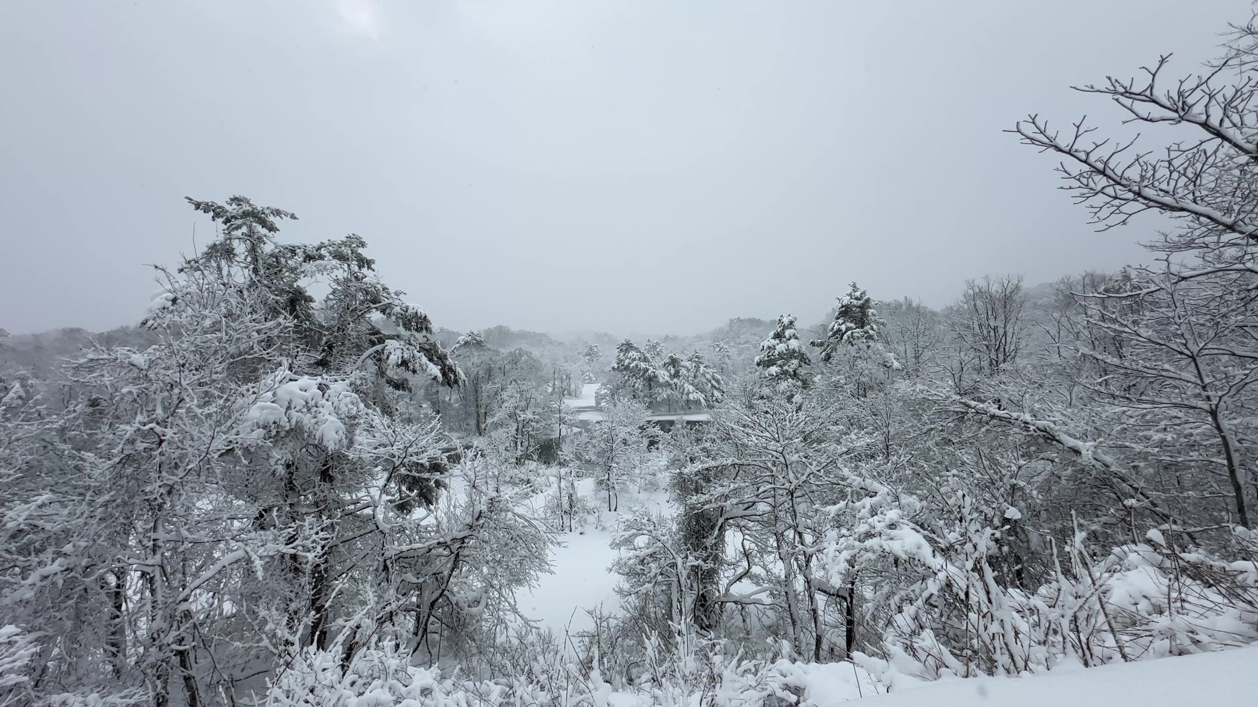 スノーシューにまあまあうってつけの日（1/5）
