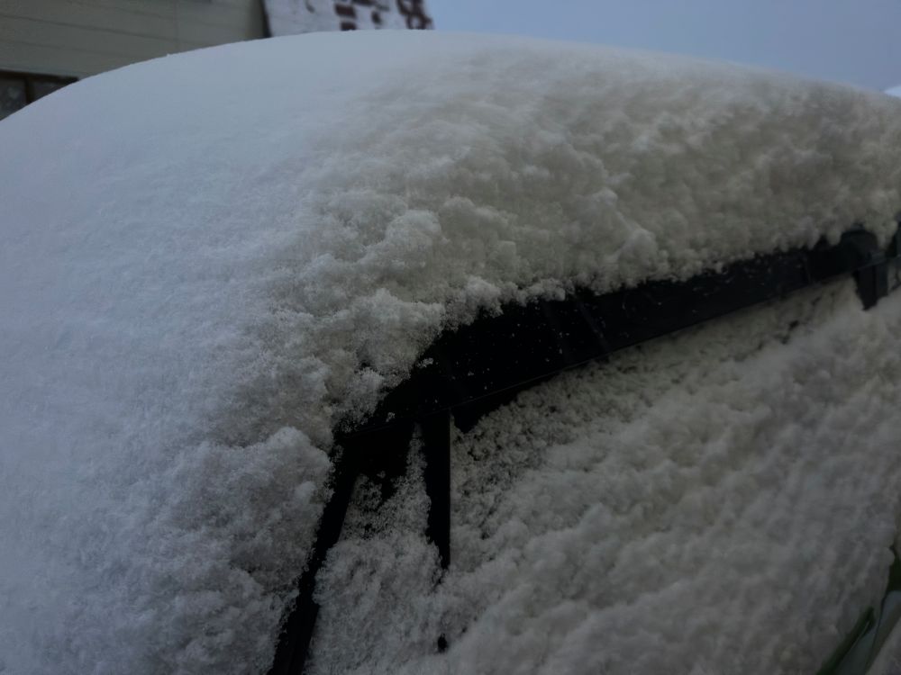 けっこう積もった（1/22）