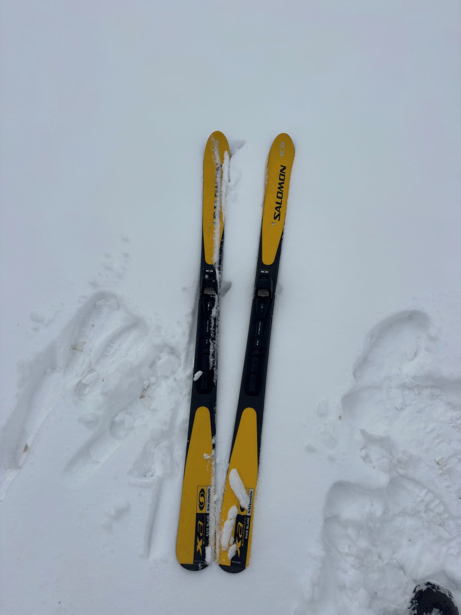 バックカントリーXCで散歩（1/24）