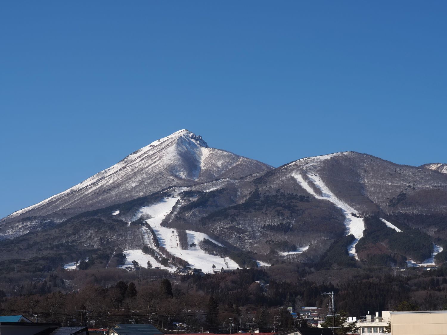 今日も1日暖かい（2/22）