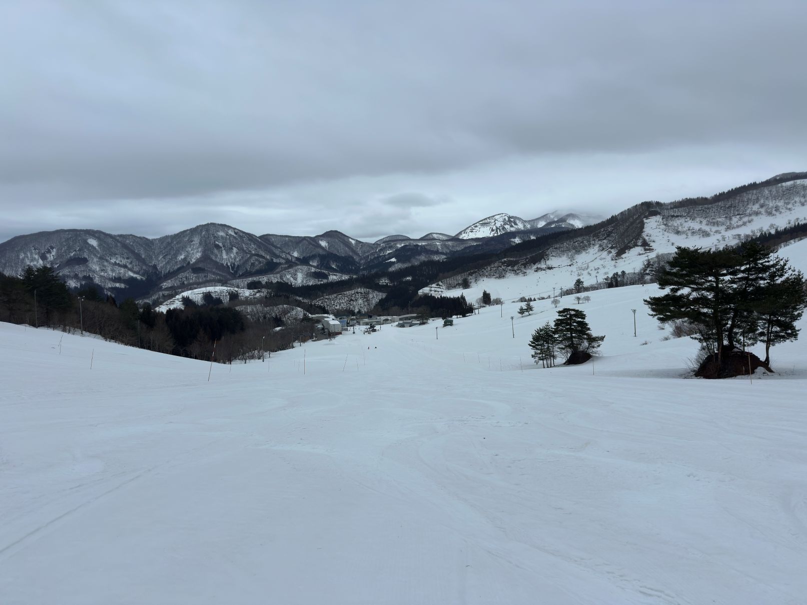 久しぶりのジュネス（2/27）