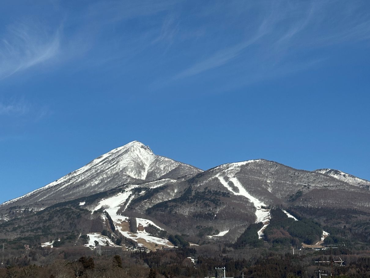 もう春？（3/20）