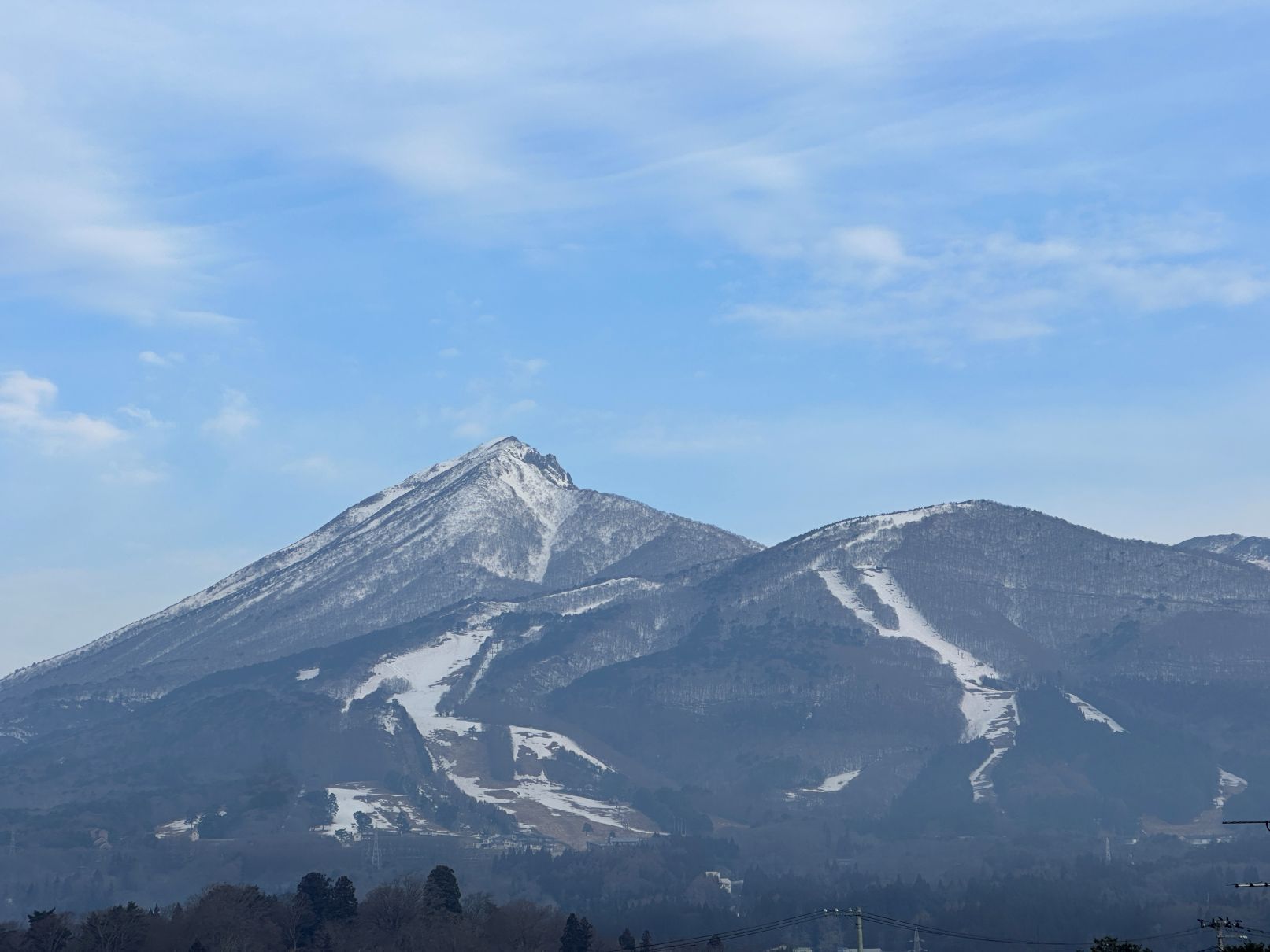 変わったかな（3/23）