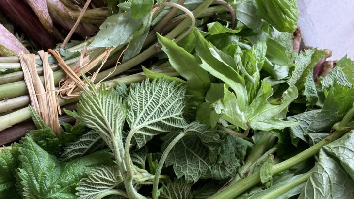 夢・なるせ直売所