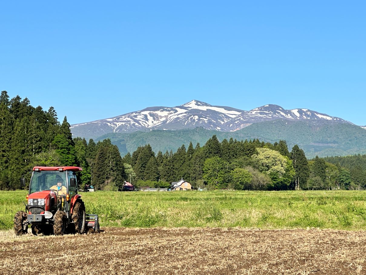 「たんぶち」（動画）