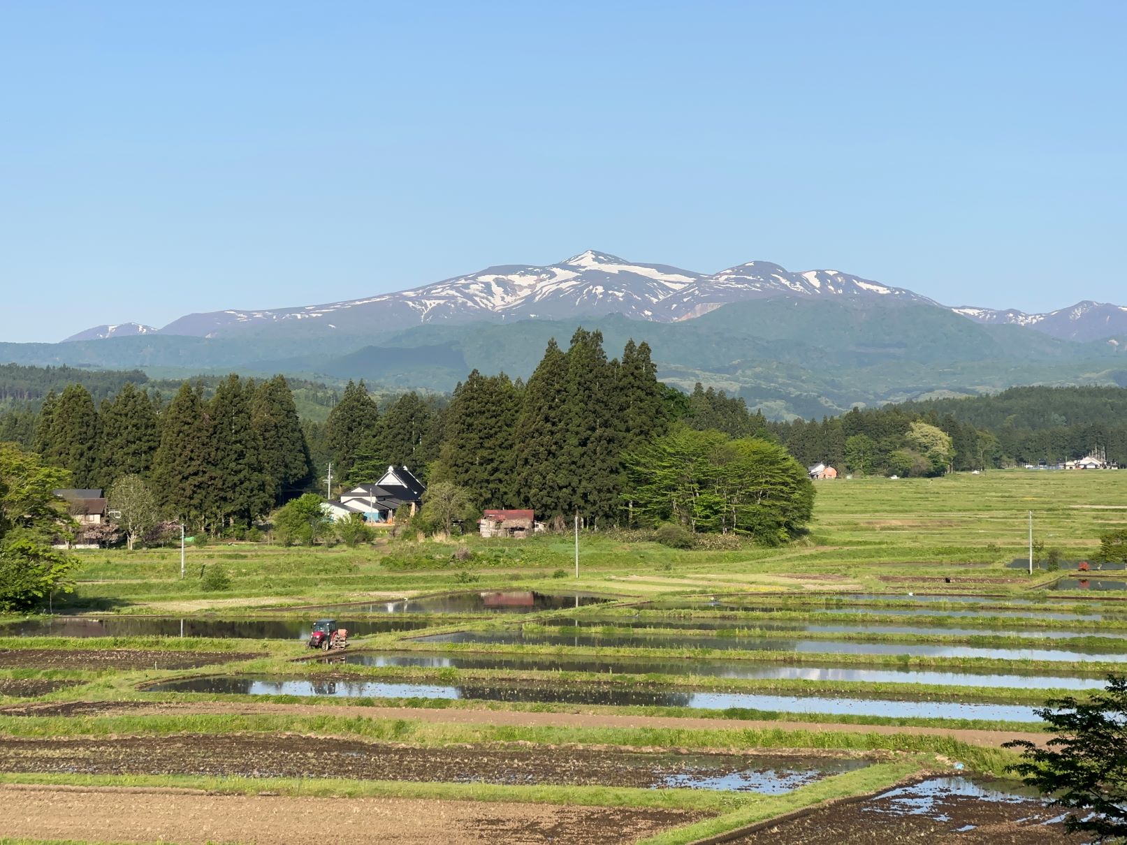 水の張られた田んぼ