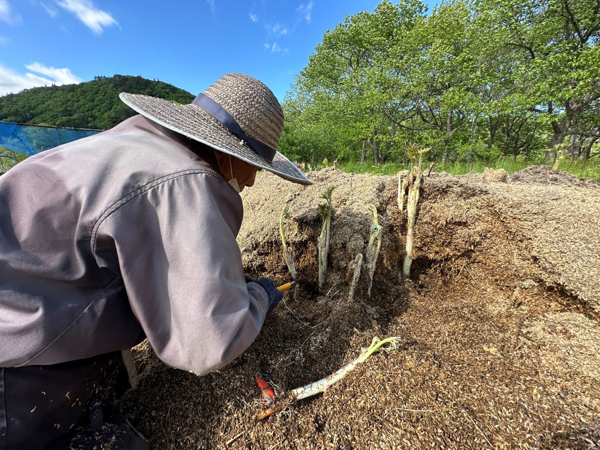田んぼだけじゃない