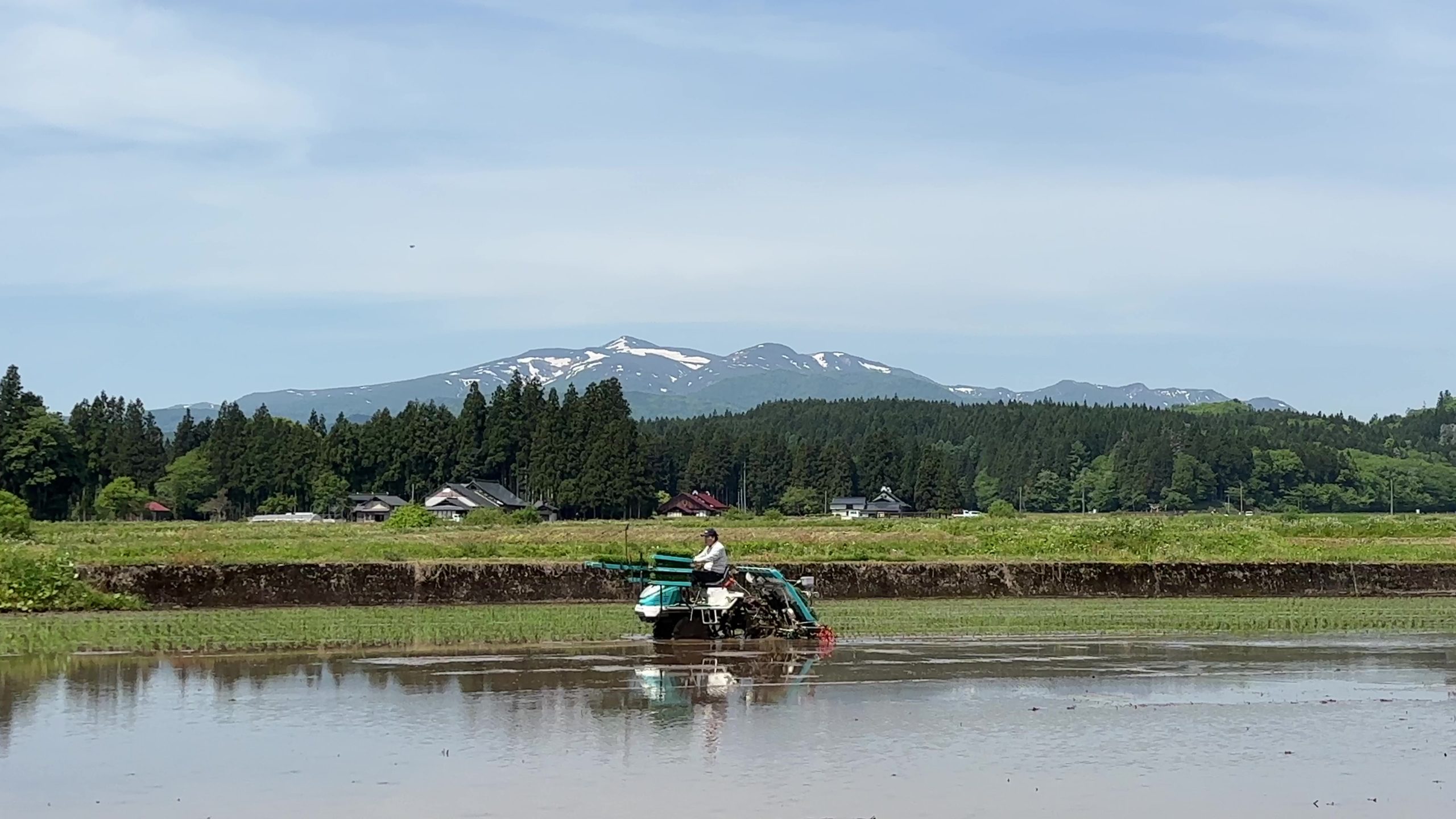 田植え動画公開