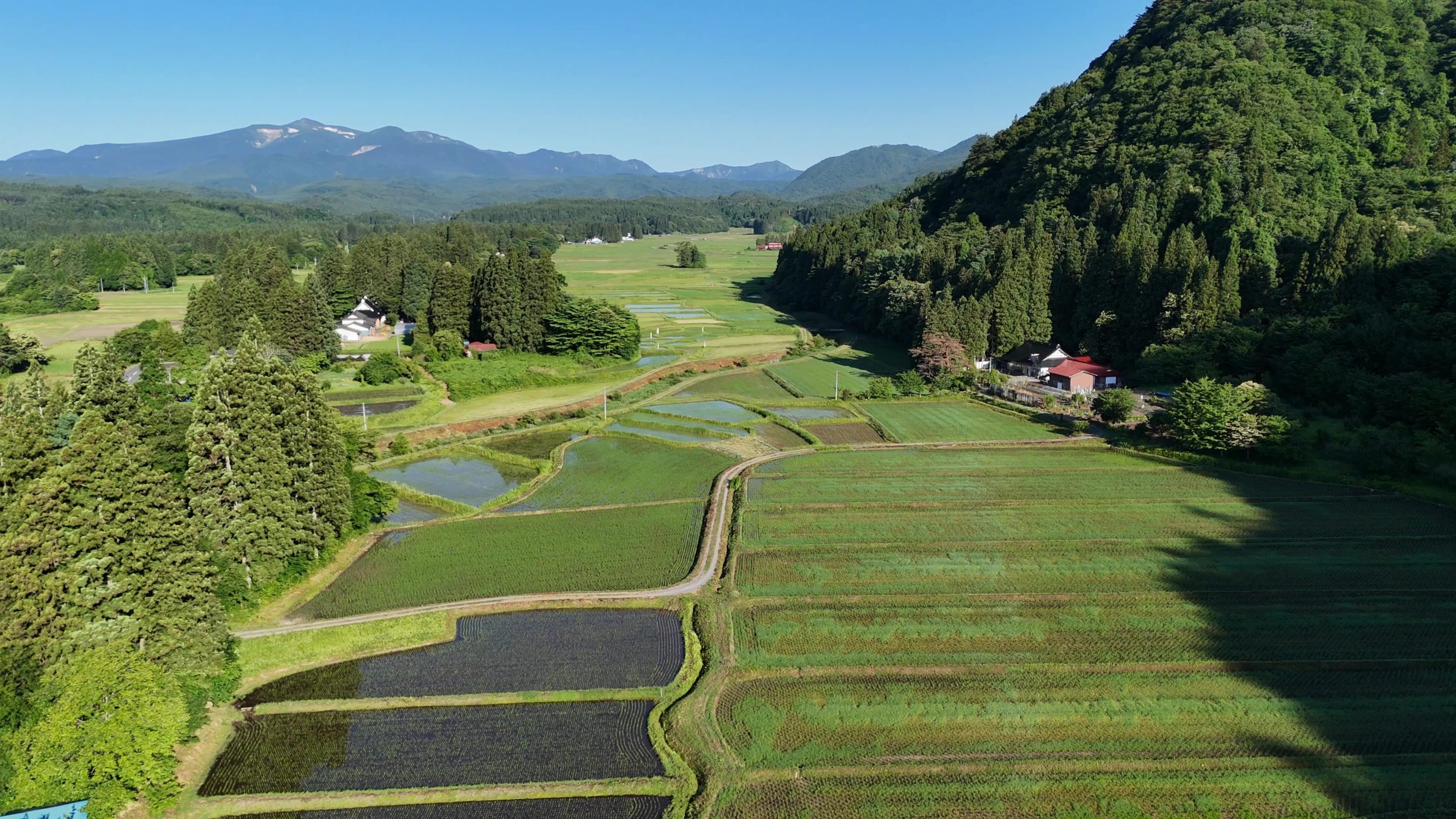 ドローン撮影（6/20）
