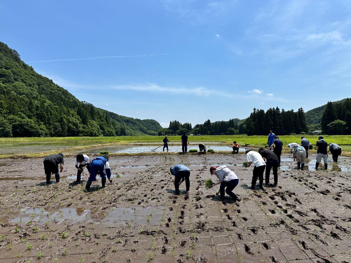 田植え体験Part2(6/8）