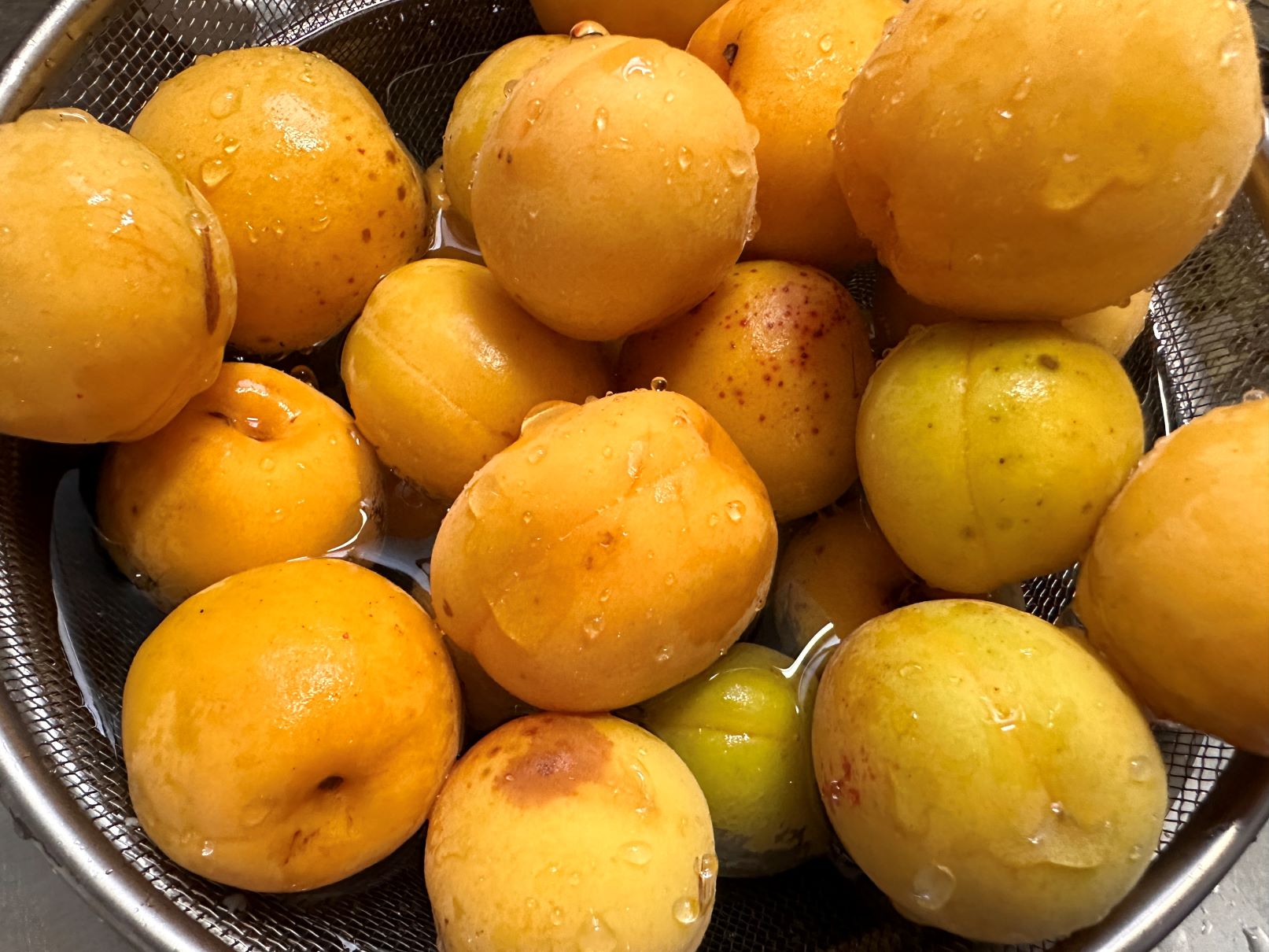 梅ジャム（6/30）