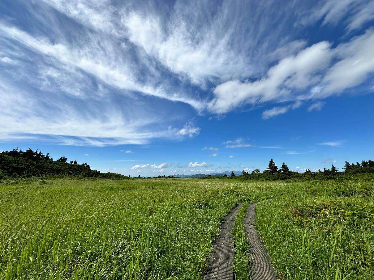 名残ヶ原とイワカガミ湿原（7/2）