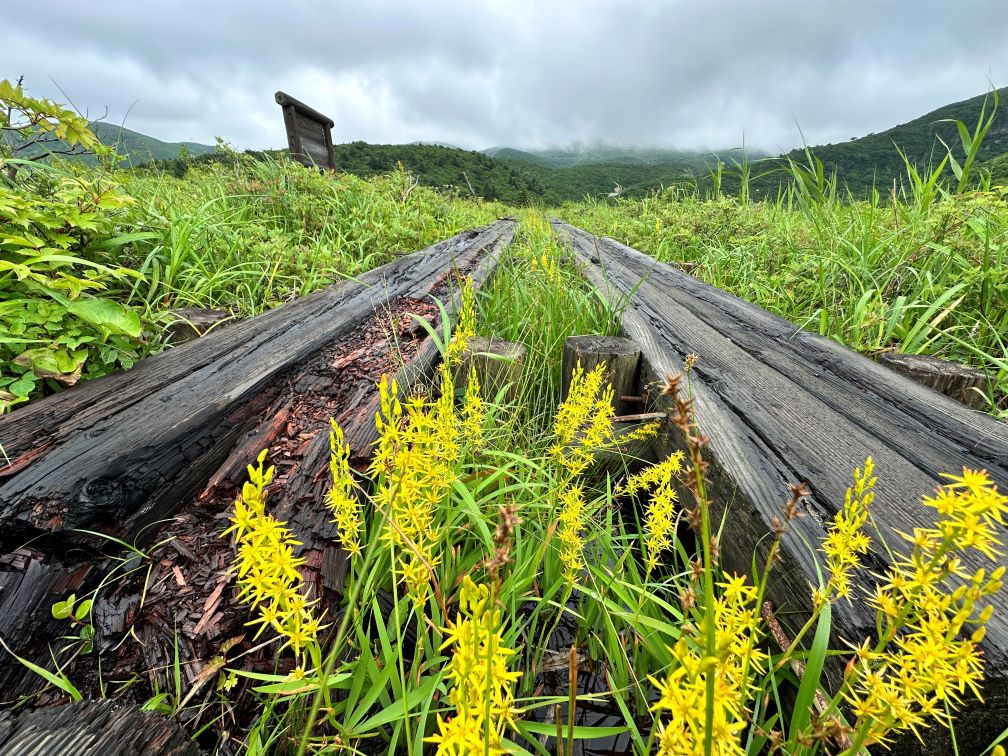 名残ヶ原（7/10）