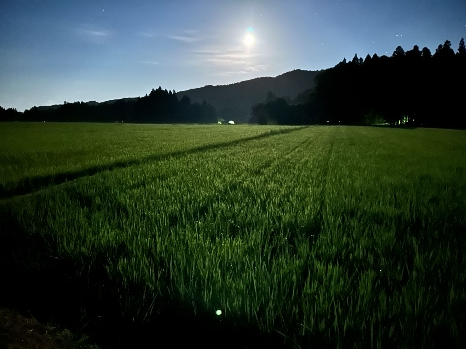 満月の夜（7/20）