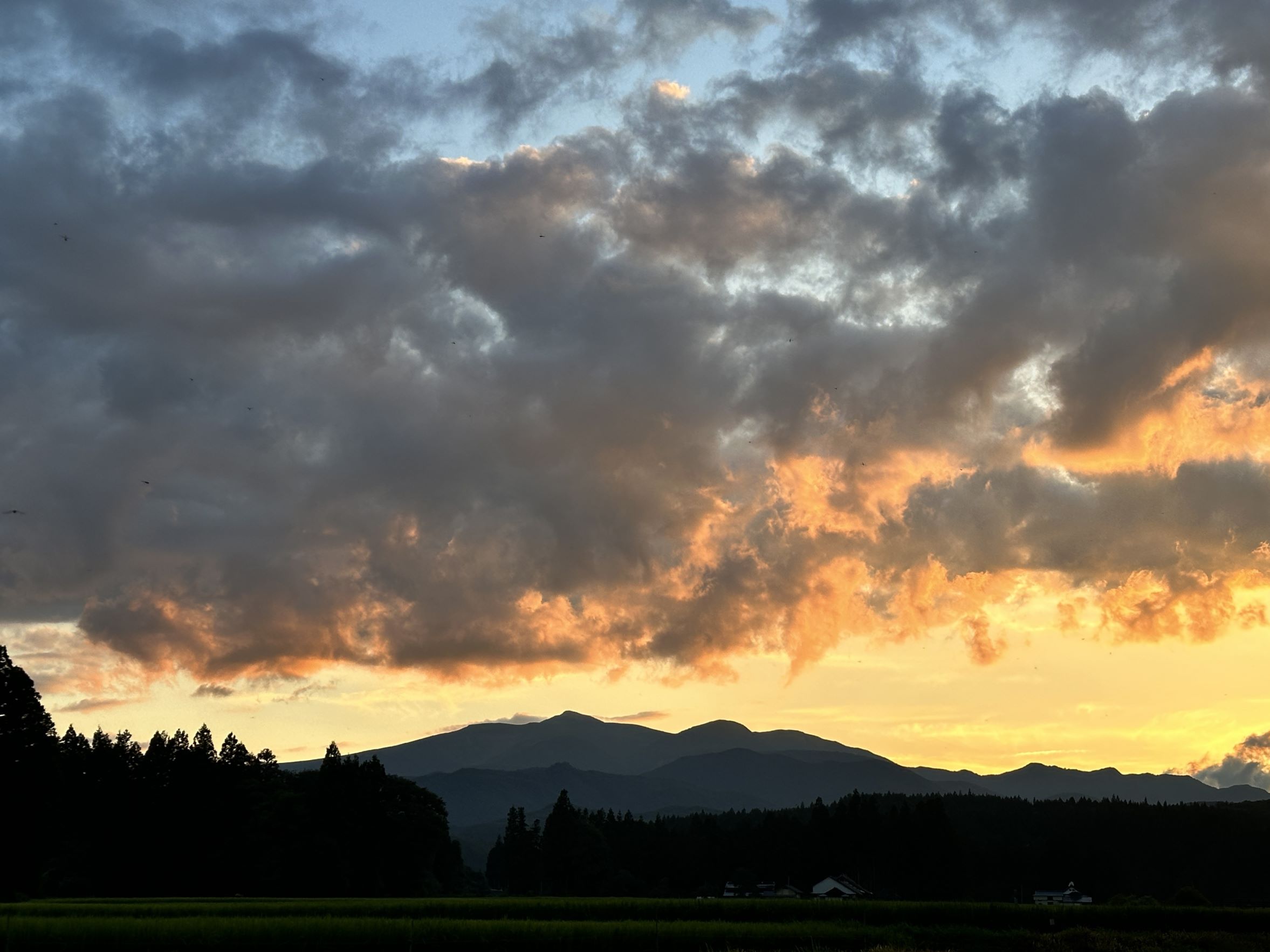 日没の景色（8/8,10）