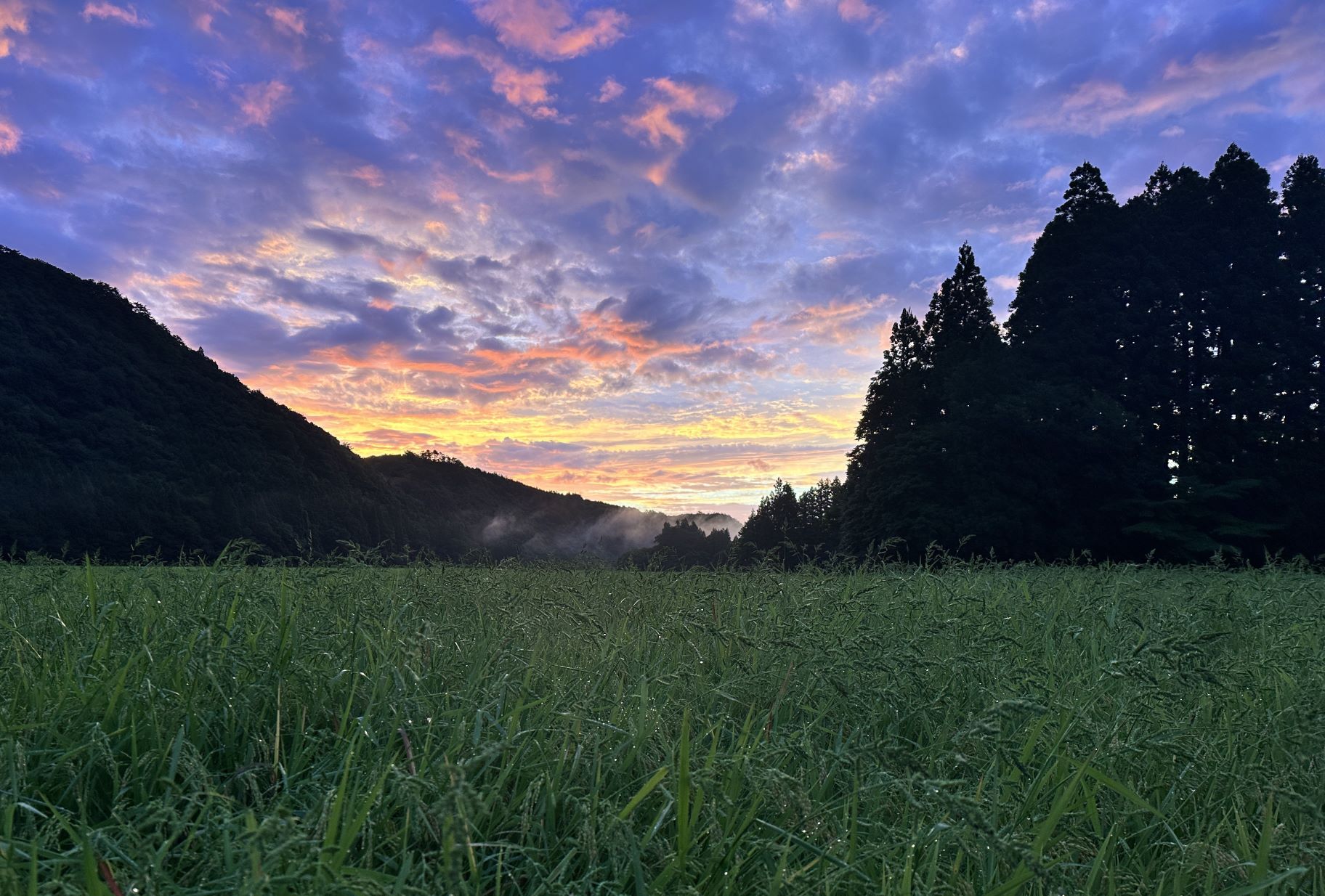 久しぶりの朝焼け（8/28）