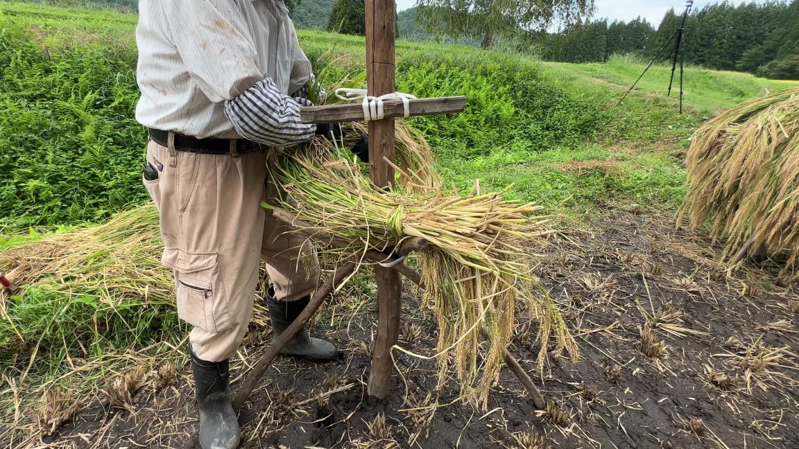 「ほんにょ」No2（9/13）