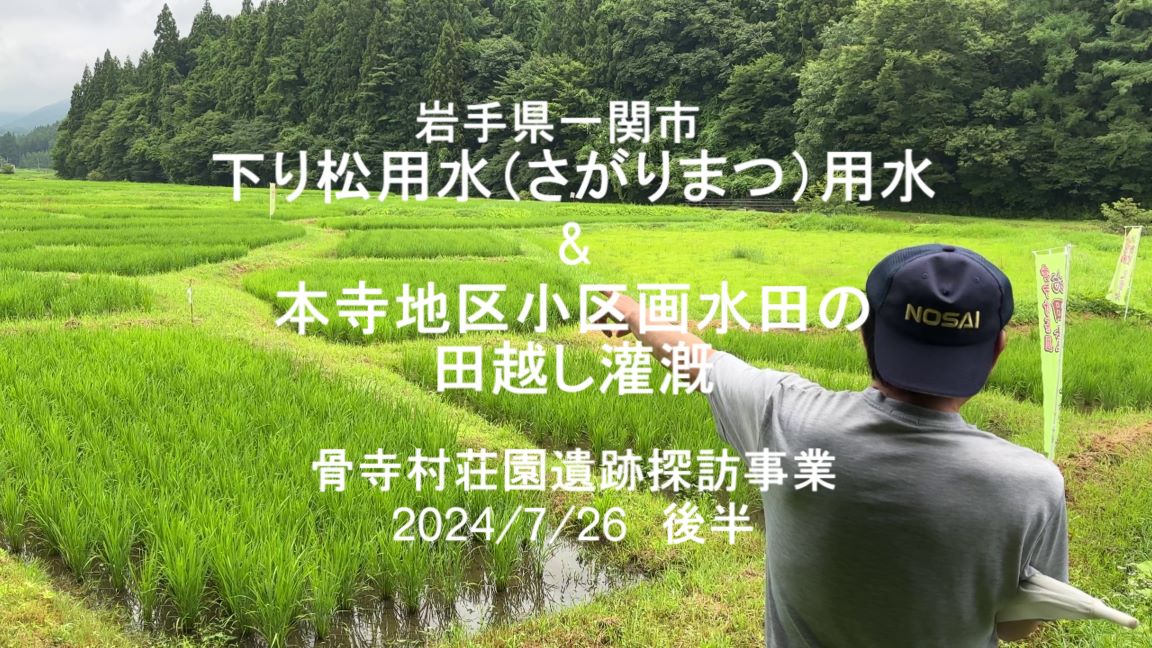 動画：下り松用水と小区画水田（9/12）