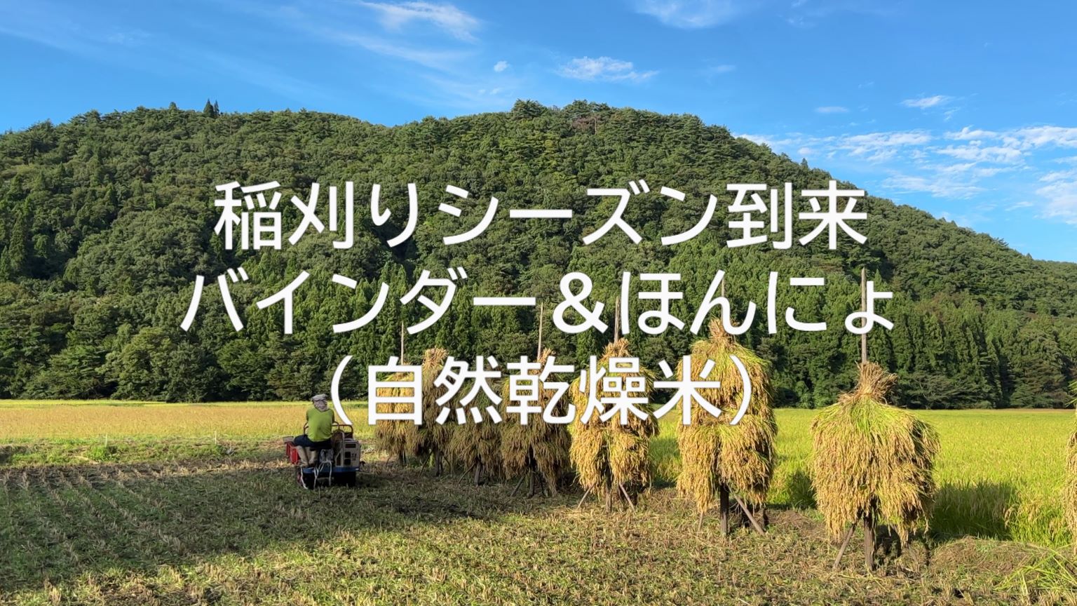 ほんにょ動画（9/14）