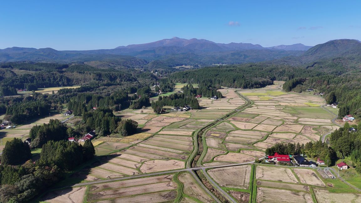 ほんにょと空撮（10/17）