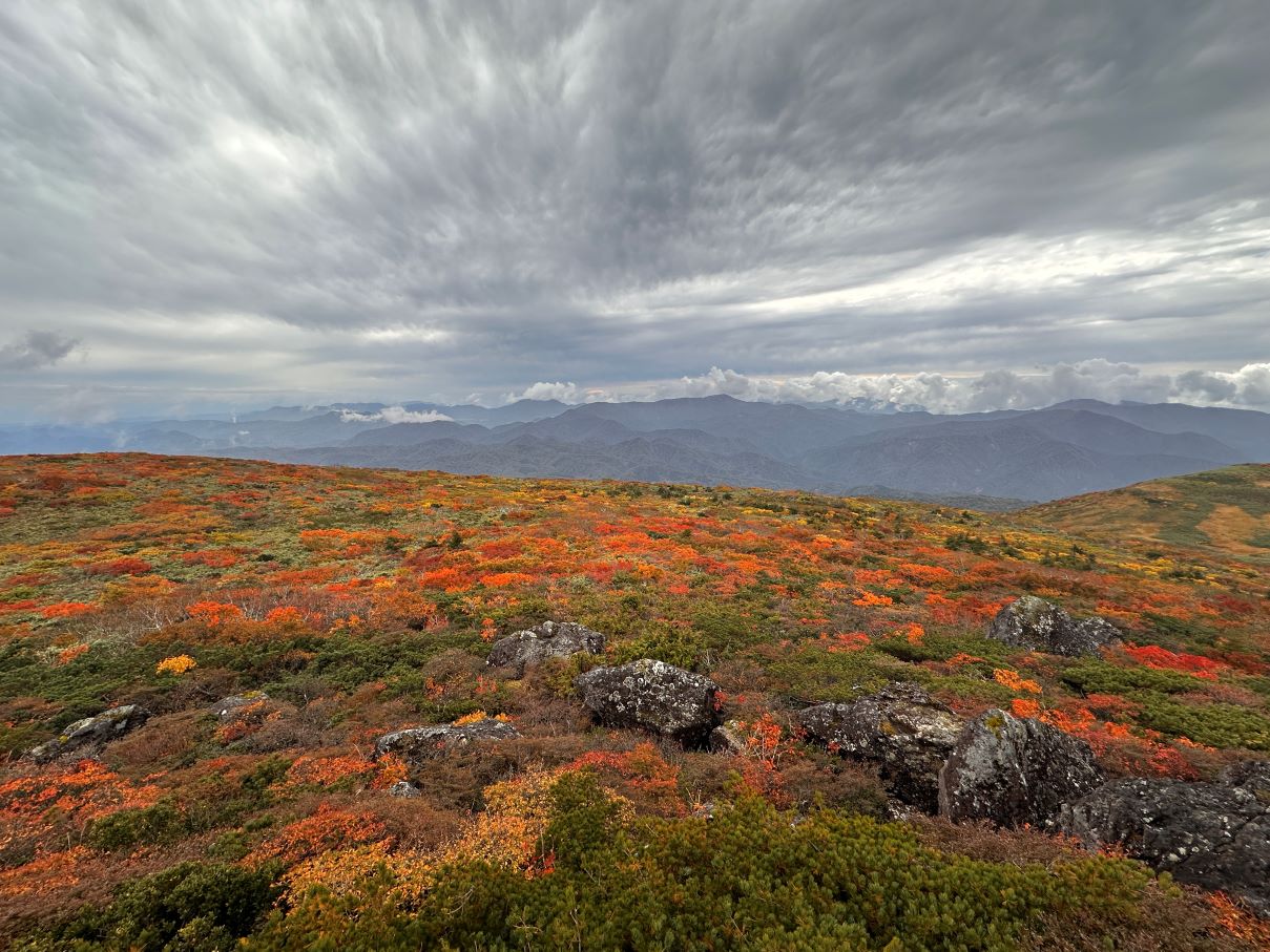 紅葉の秣岳（10/9）