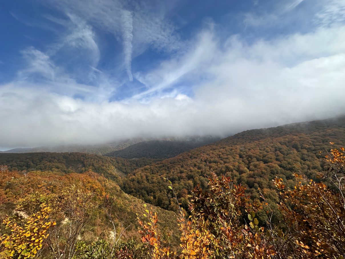 仙北道（10/18）