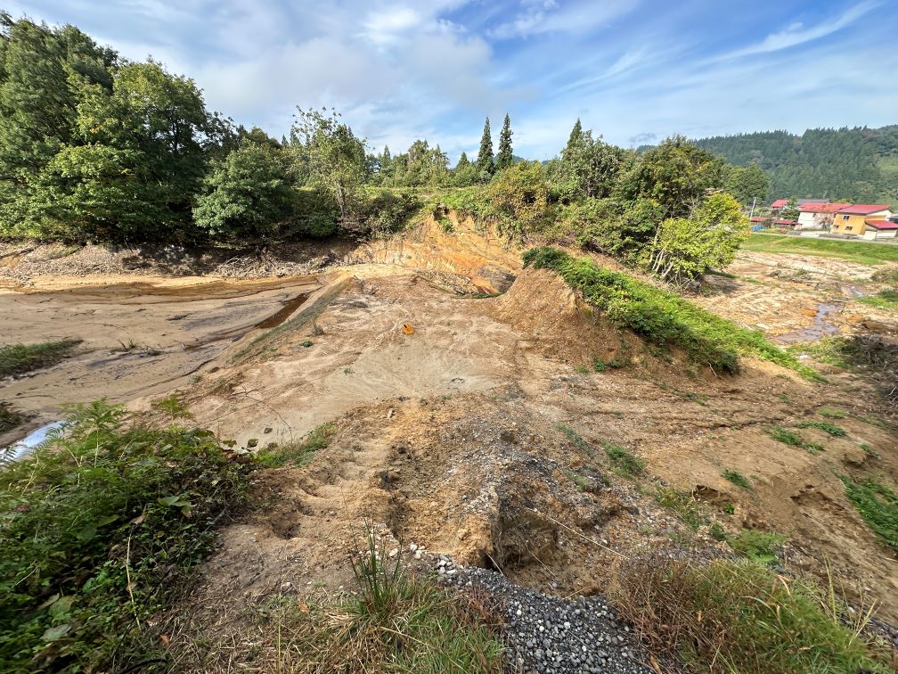 里芋作業（10/22）