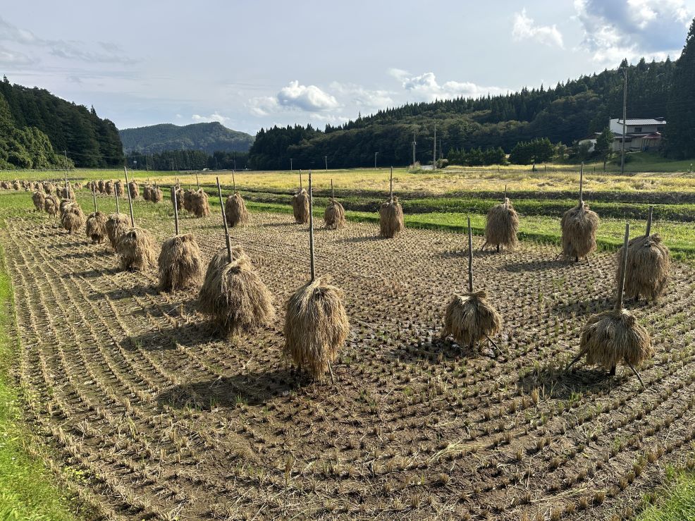 まとまってほんにょ（9/27）