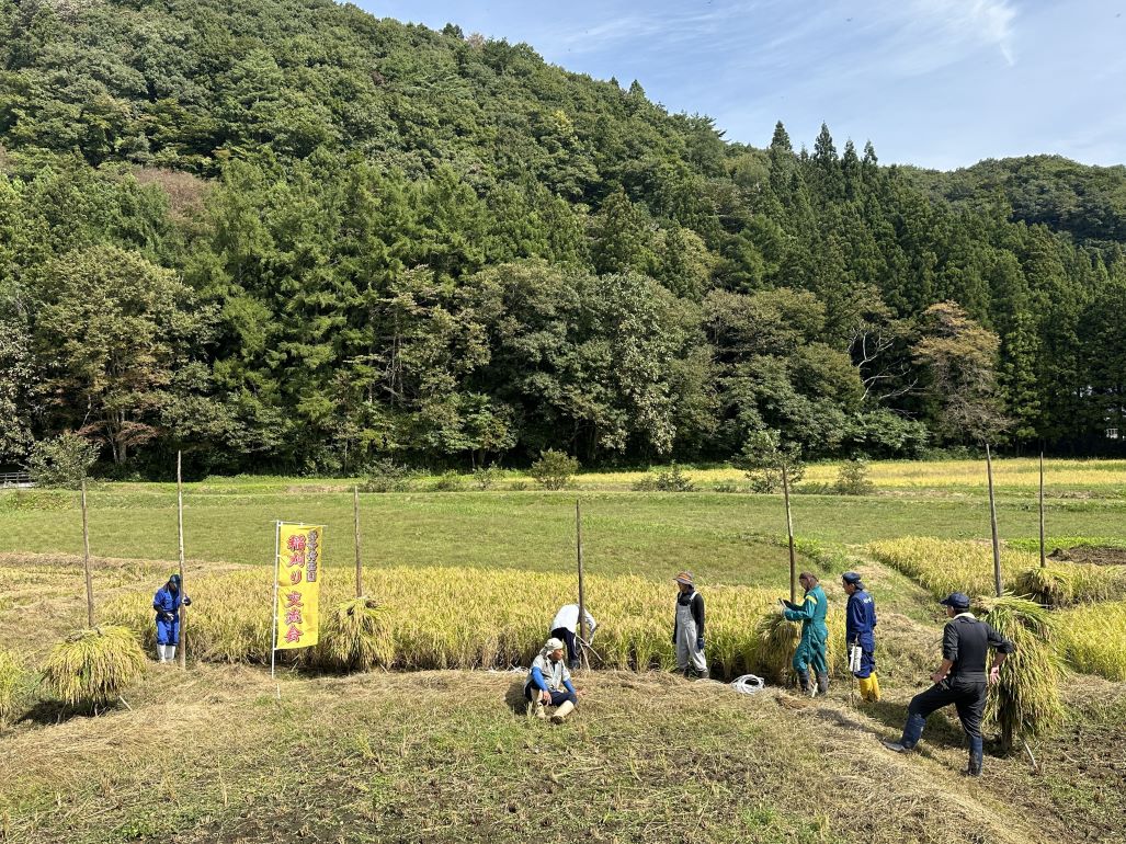 稲刈り交流会の前に、稲刈り交流会（9/28）