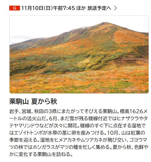 11/10のさわやか自然百景