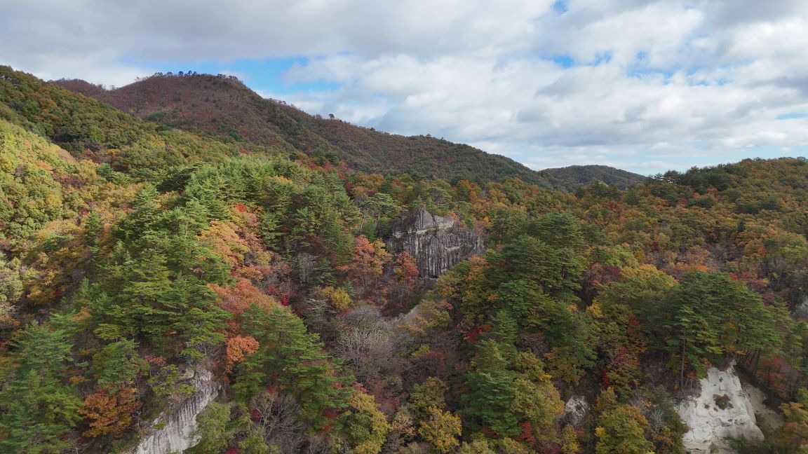 山王窟他（11/8）